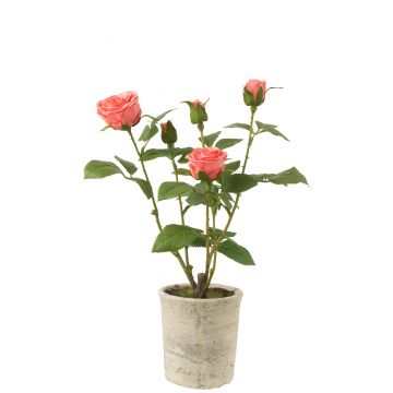 Rose 5 köpfe im topf plastik/textil rosa/grün