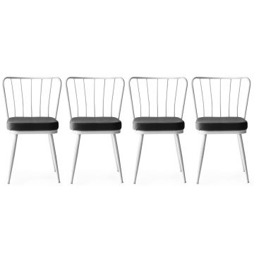 Kieran Chair Set | 4 Stück | 100% Metallgestell | Sitz aus Samtstoff